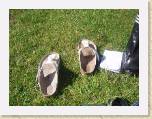 21Aug05 - Cam Wayne Carly - Dublin 10mile 006 * 2272 x 1704 * (890KB)